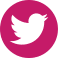 Twitter icon